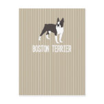 dog-Boston Terrier Post Card