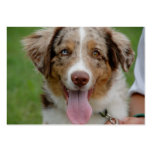 Dog business cards