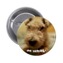 Dog Button - "So What?" buttons