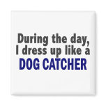 Dog Catcher During The Day