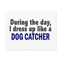 Dog Catcher During The Day