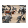 Dog chasing pigeons in Venice Postcards