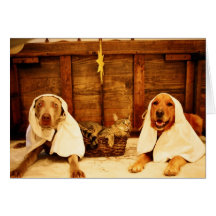 Dog Christmas Cards