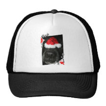 Dog Christmas hat on nose, black lab mix canine