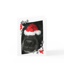 Dog Christmas hat on nose, black lab mix canine