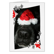 Dog Christmas hat on nose, black lab mix canine Card
