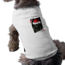 Dog Christmas hat on nose, black lab mix canine
