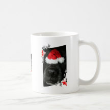 Dog Christmas hat on nose, black lab mix canine Coffee Mugs