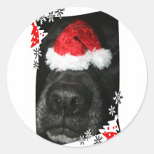 Dog Christmas hat on nose, black lab mix canine Round Stickers