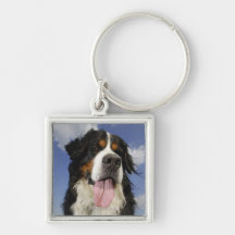 Dog, close-up key chain