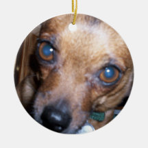 Dog Closeup(Smokey) Ornament
