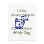 DOG COMFORT post card