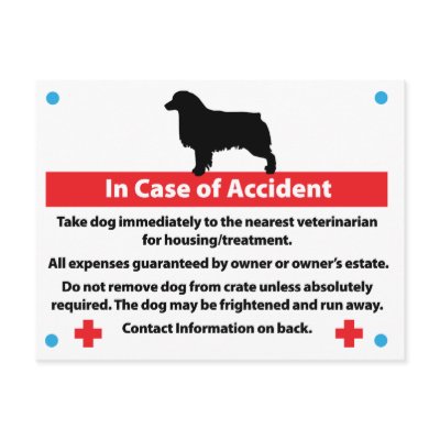 Dog Crate Card In Case of Emergency: Aussie Postcards by DDGraphix