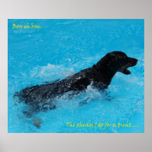Dog days Rottie Posters