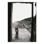 Dog Door Card