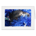 Dog Eye In Blue Christmas Tinsel Cards