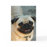 Dog Greeting cards