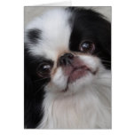 Dog Greeting cards