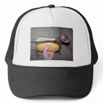 Dog in a Bun Mesh Hat