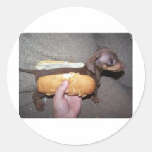 Dog in a Bun Round Sticker