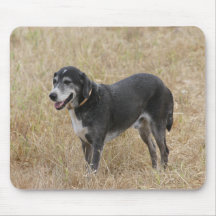 Dog in a field mouse pad