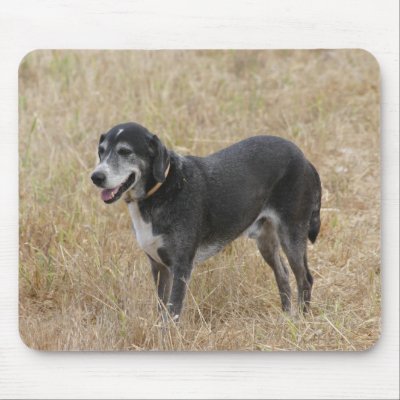Dog in a field mouse pad by Yarijik