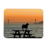 Dog in San Francisco Sunset Magnet