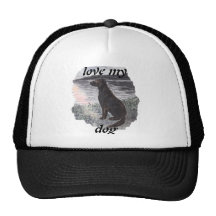 Dog in sunset hats