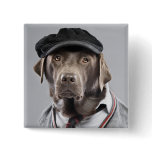 Dog in sweater and cap pin