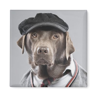 Dog in sweater and cap magnet by corbisimages