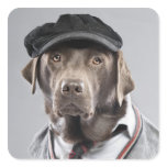Dog in sweater and cap square stickers