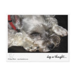 dog in thought.. post card