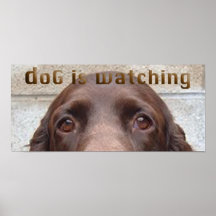 doG Is Watching Posters