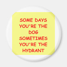 dog joke refrigerator magnets