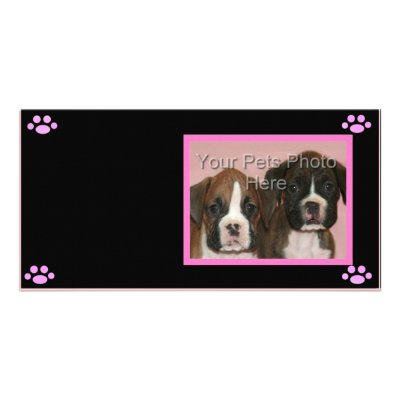 Dog Lover Photocard Photo Greeting Card by ritmoboxer