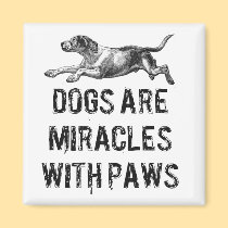 Dog Miracles magnets
