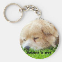 Dog, Missing the love Key Chain