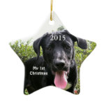 Dog My First Christmas Photo Ornaments