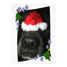 Dog Nose Wearing Santa hat, black lab mix Personalized Announcement
