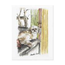 Dog on Couch Postcards