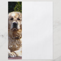 Dog on Guard Flyers