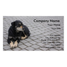 Dog on street business card
