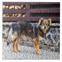 Dog painting tiles