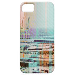 Dog patching Panorama in San francisco city casemate cases