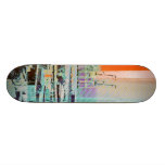 Dog patching Panorama in San francisco city skateboards