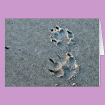 Dog Paw Print cards