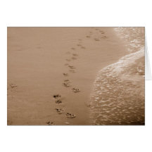 Dog Pawprints In The Sand Sympathy Card