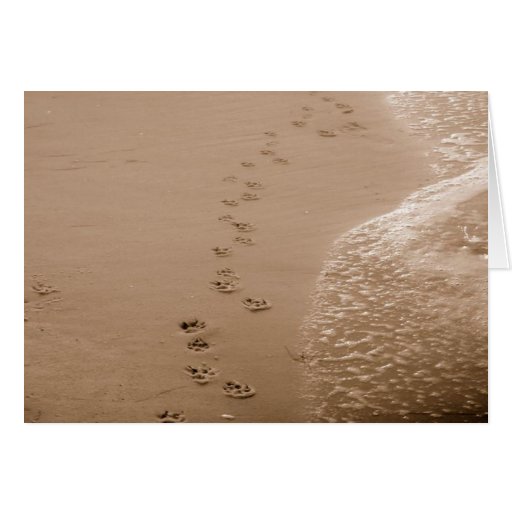 Dog Pawprints In The Sand Sympathy Card