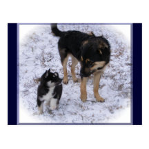 Dog Postcards