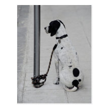 Dog Postcards